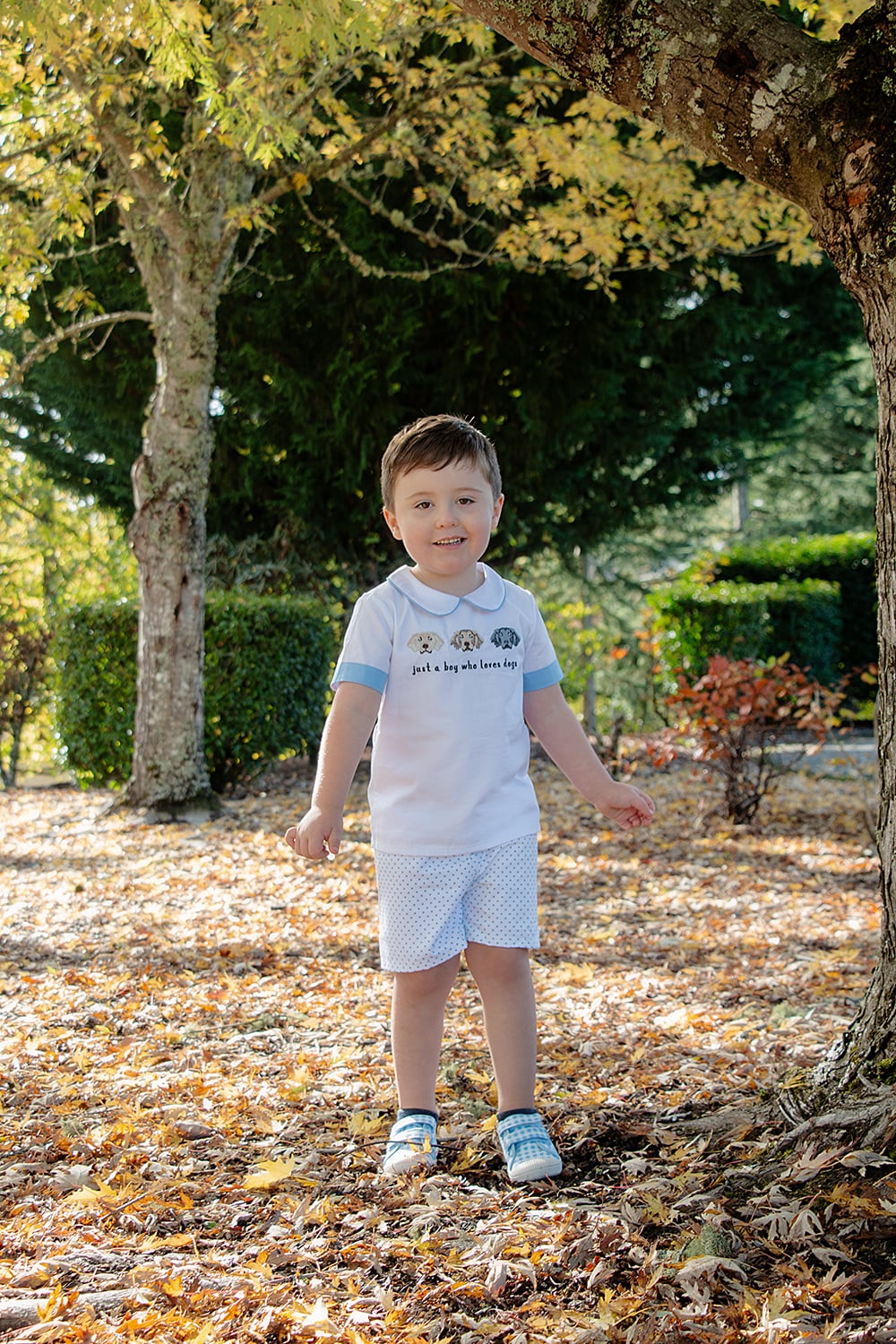 RTS- Just a Boy Who Loves Dogs- Set