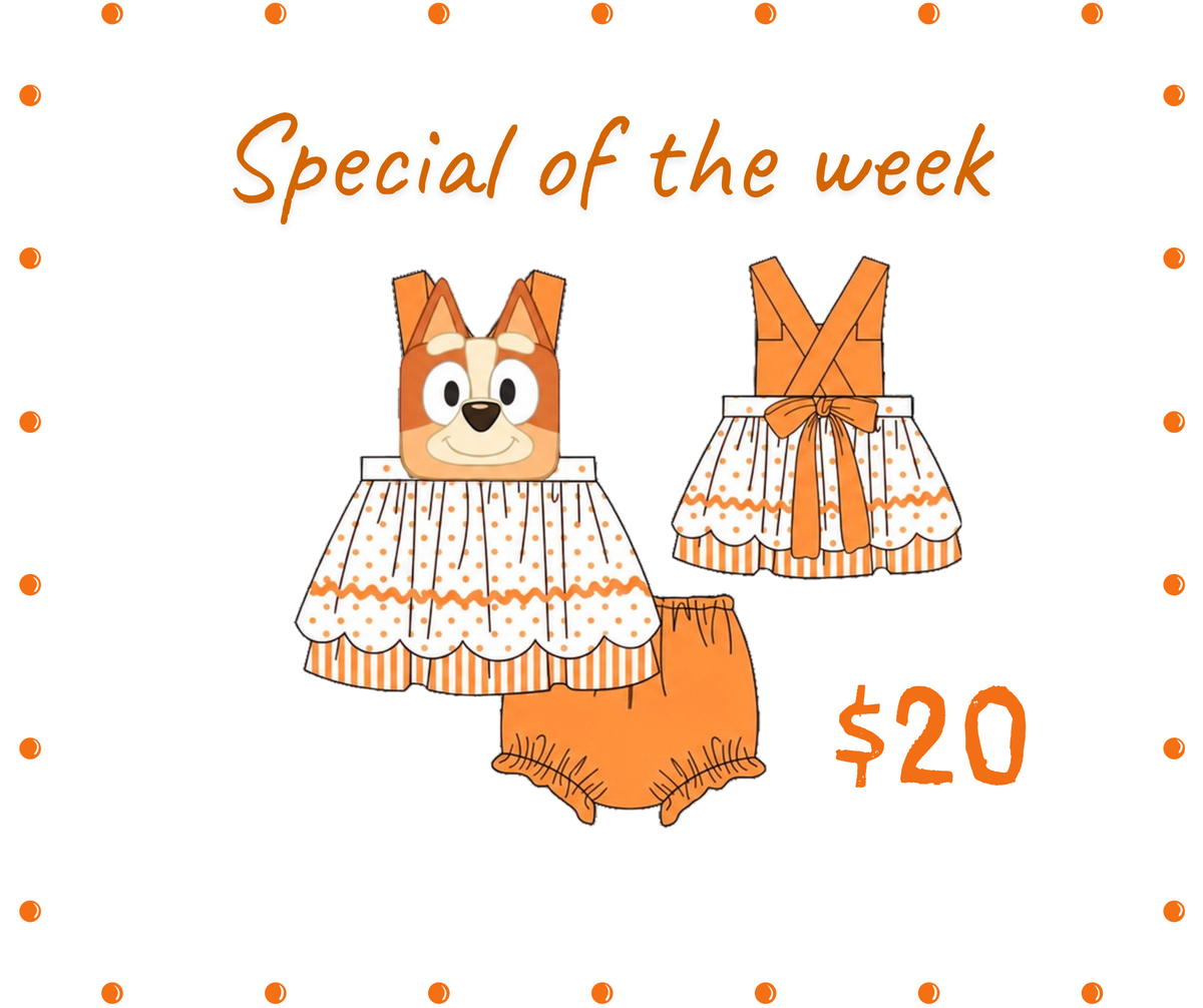 POSPECIAL2 - Bingo diaper set ETA FEB