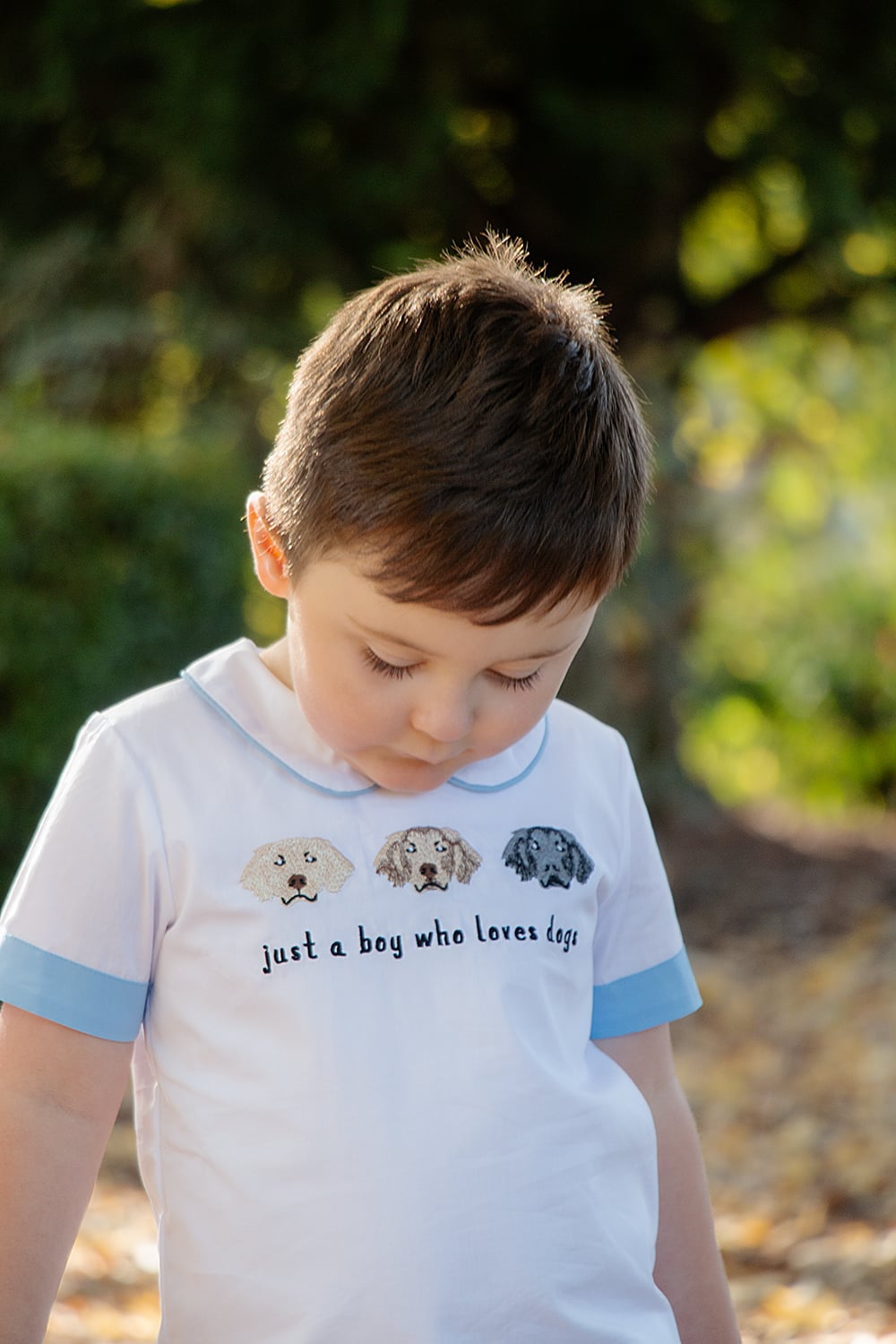 RTS- Just a Boy Who Loves Dogs- Set